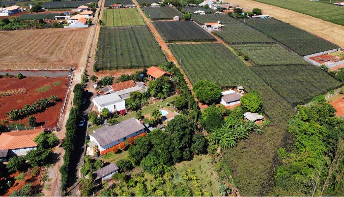  Para cada R$ 1 investido, IDR-Paraná devolve mais de R$ 7 para a sociedade, aponta estudo